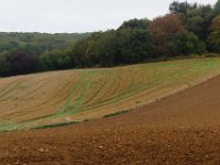 2016-10-21 Les coteaux de Lardy 0026